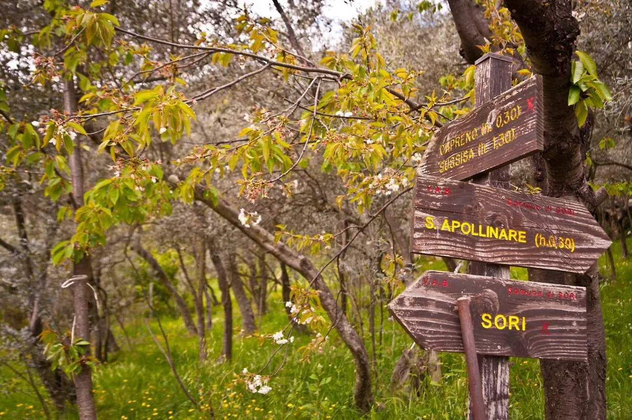 ***  Il Giardino Di Fe Bed & Breakfast Sori Italy
